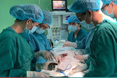 Tạo hình dương vật thành công cho bé trai 3 tuổi Tạo hình dương vật thành công cho bé trai 3 tuổi