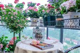 Ban công chỉ rộng vỏn vẹn 7m² nhưng tràn ngập hoa đẹp như cổ tích của bà mẹ "bỉm sữa" 2 con Ban công chỉ rộng vỏn vẹn 7m² nhưng tràn ngập hoa đẹp như cổ tích của bà mẹ "bỉm sữa" 2 con