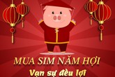 Mua sim số đẹp để cầu đón lộc tài năm Kỷ Hợi Mua sim số đẹp để cầu đón lộc tài năm Kỷ Hợi