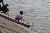 Người dân Thủ đô tấp nập thả cá chép tiễn Táo Quân về trời Người dân Thủ đô tấp nập thả cá chép tiễn Táo Quân về trời