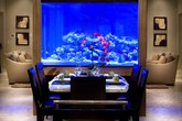 Bể cá được lồng ghép vào nội thất ngôi nhà: Xu hướng trang trí thịnh hành nhất hiện nay Bể cá được lồng ghép vào nội thất ngôi nhà: Xu hướng trang trí thịnh hành nhất hiện nay