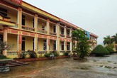 12 học sinh bị chó cắn trong giờ ra chơi 12 học sinh bị chó cắn trong giờ ra chơi