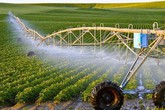 Giao lưu trực tuyến: Liên kết 4 nhà trong ứng dụng KH&CN vùng nông thôn miền núi và dân tộc thiểu số Giao lưu trực tuyến: Liên kết 4 nhà trong ứng dụng KH&CN vùng nông thôn miền núi và dân tộc thiểu số