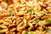 Nhộng tằm rất giàu dinh dưỡng nhưng dễ gây ngộ độc, thậm chí tử vong nếu không bảo quản tốt Nhộng tằm rất giàu dinh dưỡng nhưng dễ gây ngộ độc, thậm chí tử vong nếu không bảo quản tốt