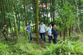 Sự thật về cái chết của một Phó chủ tịch UBND xã ở Bắc Giang Sự thật về cái chết của một Phó chủ tịch UBND xã ở Bắc Giang