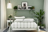 Phòng ngủ màu xanh sẽ mang đến nguồn năng lượng tích cực cho cuộc sống của bạn Phòng ngủ màu xanh sẽ mang đến nguồn năng lượng tích cực cho cuộc sống của bạn