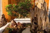 Ông xã Lê Phương tự làm bể cá xinh xắn đặt trong nhà cho hai con Ông xã Lê Phương tự làm bể cá xinh xắn đặt trong nhà cho hai con