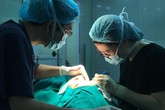 Khóc cả đời không ra nước mắt sau phẫu thuật “làm mắt long lanh” Khóc cả đời không ra nước mắt sau phẫu thuật “làm mắt long lanh”