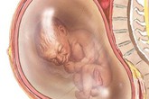 Tưởng đau bụng chuyển dạ đẻ, mẹ bầu 9 tháng sốc khi biết thai đã chết lưu Tưởng đau bụng chuyển dạ đẻ, mẹ bầu 9 tháng sốc khi biết thai đã chết lưu