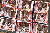 Giật mình set lẩu toàn hải sản tươi giá chỉ 50 ngàn trên vỉa hè Giật mình set lẩu toàn hải sản tươi giá chỉ 50 ngàn trên vỉa hè
