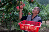 Cụ ông 70 tuổi mắc ung thư gan vẫn sống khỏe nhờ một bát súp và chú ý 2 việc Cụ ông 70 tuổi mắc ung thư gan vẫn sống khỏe nhờ một bát súp và chú ý 2 việc