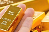 Giá vàng hôm nay 2/11: Vọt lên đỉnh cao, dự báo vẫn tiếp tục tăng Giá vàng hôm nay 2/11: Vọt lên đỉnh cao, dự báo vẫn tiếp tục tăng