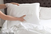 Bị viêm phổi nặng, khó thở suốt 3 tháng không rõ lý do, kiểm tra giường liền biết nguyên nhân Bị viêm phổi nặng, khó thở suốt 3 tháng không rõ lý do, kiểm tra giường liền biết nguyên nhân