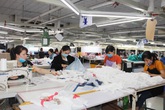Hòa Bình: Giải quyết việc làm cho hơn 177.000 lao động Hòa Bình: Giải quyết việc làm cho hơn 177.000 lao động