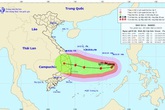 Vì sao bão số 6 có diễn biến khó lường với đường đi dị thường? Vì sao bão số 6 có diễn biến khó lường với đường đi dị thường?
