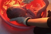 Phát hiện bé sơ sinh còn nguyên dây rốn trong thùng rác giữa thời tiết giá lạnh tại Hà Nội Phát hiện bé sơ sinh còn nguyên dây rốn trong thùng rác giữa thời tiết giá lạnh tại Hà Nội
