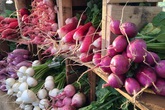 Đến thăm trang trại rau sạch của cặp vợ chồng yêu môi trường, thích tái chế đồ để sử dụng Đến thăm trang trại rau sạch của cặp vợ chồng yêu môi trường, thích tái chế đồ để sử dụng