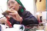 Giật mình chuyện mua bán, nấu cao rùa quanh Vườn Quốc gia Ba Bể Giật mình chuyện mua bán, nấu cao rùa quanh Vườn Quốc gia Ba Bể