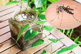 Vệ sinh nhà ở đúng cách để bảo vệ sức khoẻ người thân yêu Vệ sinh nhà ở đúng cách để bảo vệ sức khoẻ người thân yêu