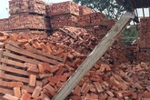 Sập đống gạch cao 5m, 3 người chết, 1 người bị thương Sập đống gạch cao 5m, 3 người chết, 1 người bị thương