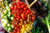 Quá căng thẳng với công việc, chàng trai trẻ lấy thú vui làm vườn để thư giãn, ai ngờ kết quả tốt ngoài sức mong đợi Quá căng thẳng với công việc, chàng trai trẻ lấy thú vui làm vườn để thư giãn, ai ngờ kết quả tốt ngoài sức mong đợi