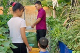 Ông chủ doanh nghiệp thả cá trồng rau trên sân thượng Ông chủ doanh nghiệp thả cá trồng rau trên sân thượng