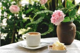 Căn hộ nhỏ xinh sở hữu góc nào cũng đầy cây và hoa của nữ giảng viên đại học Bách Khoa Hà Nội Căn hộ nhỏ xinh sở hữu góc nào cũng đầy cây và hoa của nữ giảng viên đại học Bách Khoa Hà Nội