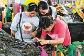 Đổ xô cúng bái gốc cây xù xì dát vàng, cầu trúng số độc đắc đổi đời Đổ xô cúng bái gốc cây xù xì dát vàng, cầu trúng số độc đắc đổi đời