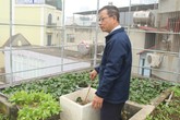 Vườn rau 80 m2 giữa lòng thành phố của thầy giáo Hà Nội Vườn rau 80 m2 giữa lòng thành phố của thầy giáo Hà Nội
