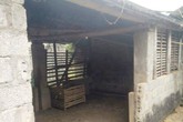 Trưởng công an xã chết trong tư thế treo cổ tại chuồng trâu Trưởng công an xã chết trong tư thế treo cổ tại chuồng trâu