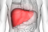 8 dấu hiệu cảnh báo bệnh gan: Nếu có triệu chứng là bạn cần đến bác sĩ càng sớm càng tốt 8 dấu hiệu cảnh báo bệnh gan: Nếu có triệu chứng là bạn cần đến bác sĩ càng sớm càng tốt