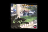 Thẳng tay đánh phụ nữ giữa đường, người đàn ông nhận cái kết bẽ bàng Thẳng tay đánh phụ nữ giữa đường, người đàn ông nhận cái kết bẽ bàng