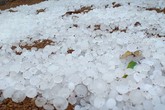 Mưa đá lớn kéo dài làm nhà dân, rau màu thiệt hại Mưa đá lớn kéo dài làm nhà dân, rau màu thiệt hại