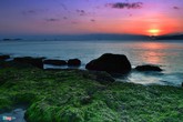 Đầu xuân rủ nhau check-in bãi rêu tuyệt đẹp ở Nha Trang Đầu xuân rủ nhau check-in bãi rêu tuyệt đẹp ở Nha Trang