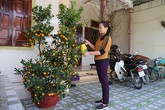 Gia đình các tuyển thủ Nghệ An náo nức chuẩn bị Tết đoàn viên Gia đình các tuyển thủ Nghệ An náo nức chuẩn bị Tết đoàn viên