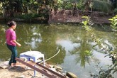 Về quê chơi cùng bà ngoại, bé trai 4 tuổi bị ngã xuống ao tử vong Về quê chơi cùng bà ngoại, bé trai 4 tuổi bị ngã xuống ao tử vong