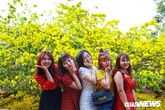 'Cụ mai' 55 tuổi, giá hơn 2 tỷ thu hút hàng nghìn người chụp ảnh ngày đầu năm 'Cụ mai' 55 tuổi, giá hơn 2 tỷ thu hút hàng nghìn người chụp ảnh ngày đầu năm