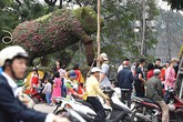 Thời tiết mùng 3 Tết: Miền Bắc vẫn nắng chói chang Thời tiết mùng 3 Tết: Miền Bắc vẫn nắng chói chang