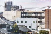 Ngôi nhà ngoại ô vô cùng đặc biệt vì không có cửa và phòng riêng Ngôi nhà ngoại ô vô cùng đặc biệt vì không có cửa và phòng riêng