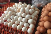 Trứng gà rẻ chưa từng thấy: Lỗ 10 triệu/ngày, vài bữa nữa tôi phá sản Trứng gà rẻ chưa từng thấy: Lỗ 10 triệu/ngày, vài bữa nữa tôi phá sản