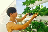 Ba nghệ sĩ sống như “nông dân”, không ồn ào nhà to, xe sang của làng giải trí Ba nghệ sĩ sống như “nông dân”, không ồn ào nhà to, xe sang của làng giải trí