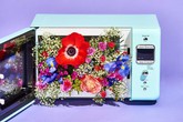 Ngoài chức năng hâm nóng thức ăn, lò vi sóng còn làm được 10 điều siêu hay ho này mà đảm bảo bạn không hề biết Ngoài chức năng hâm nóng thức ăn, lò vi sóng còn làm được 10 điều siêu hay ho này mà đảm bảo bạn không hề biết