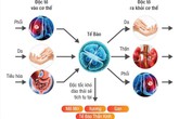 Phương pháp hỗ trợ thải độc cơ thể Phương pháp hỗ trợ thải độc cơ thể