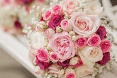 Tiếng khóc trong phòng tân hôn tiết lộ bí mật về 'em họ’ chú rể Tiếng khóc trong phòng tân hôn tiết lộ bí mật về 'em họ’ chú rể