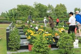 Không nên làm những việc này để tránh gặp xui xẻo tiết Thanh minh Không nên làm những việc này để tránh gặp xui xẻo tiết Thanh minh