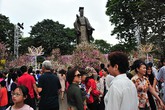 Chật cứng người đi xem Lễ hội hoa anh đào Nhật Bản - Hà Nội Chật cứng người đi xem Lễ hội hoa anh đào Nhật Bản - Hà Nội