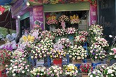Thị trường quà tặng 8/3: Hoa làm từ thạch rau câu “lên ngôi” Thị trường quà tặng 8/3: Hoa làm từ thạch rau câu “lên ngôi”