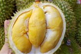 Sầu riêng tăng giá mạnh Sầu riêng tăng giá mạnh
