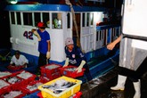 Ba món thực phẩm bà sành nội trợ cũng khó có thể mua ở đâu tươi ngon hơn nơi này Ba món thực phẩm bà sành nội trợ cũng khó có thể mua ở đâu tươi ngon hơn nơi này