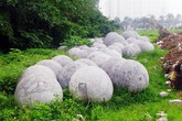40 quả bóng xích "phá" phong thủy trước SVĐ Mỹ Đình giờ đang ở đâu và sẽ đi đâu? 40 quả bóng xích "phá" phong thủy trước SVĐ Mỹ Đình giờ đang ở đâu và sẽ đi đâu?
